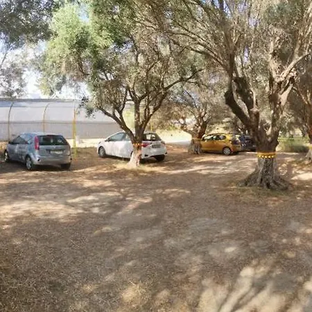 Apartment Evli